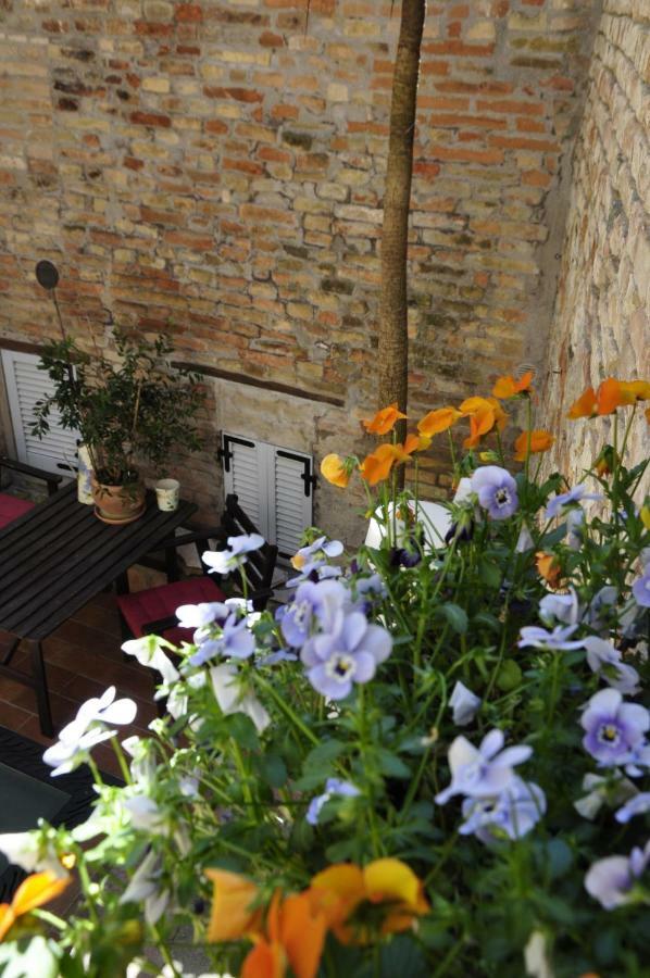 B&B Albornoz Urbino Eksteriør billede